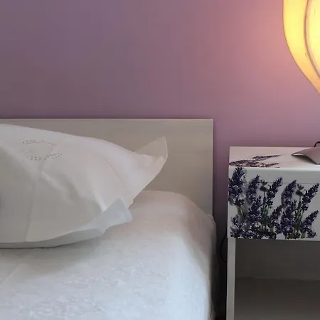 Apartament Petrada *